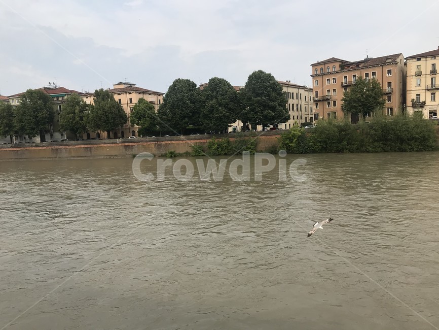 이탈리아,베로나,verona,아디제강,아디제,강,강가,italy,italia,해외,유럽,흐린,우중충한,해외,외국,세계,foreign,oversea,world