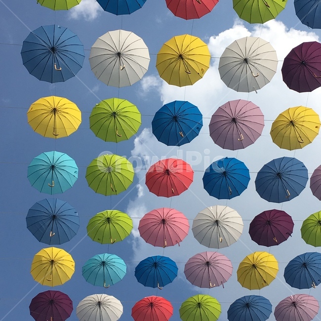 우산,umbrella,하늘,sky,알록달록