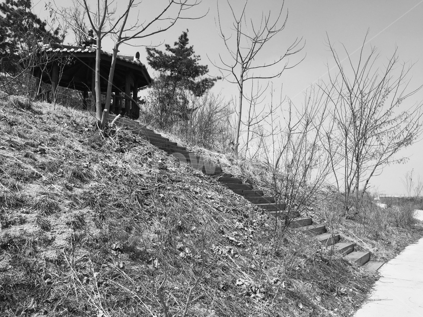 길,자연,nature,tree,나무