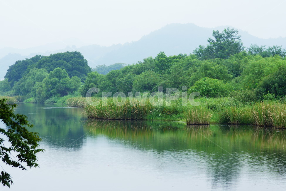 물,water,nature,자연,plant,식물,초목,tree,나무,자연,풍경,nature,landscape,outdoors,옥외