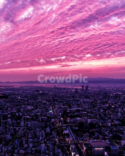 japan,일본,osaka,오사카,outdoors,옥외,landscape,경치,nature,자연,scenery,풍경,color,cloud,구름,sky,하늘,pink,분홍,city,도시