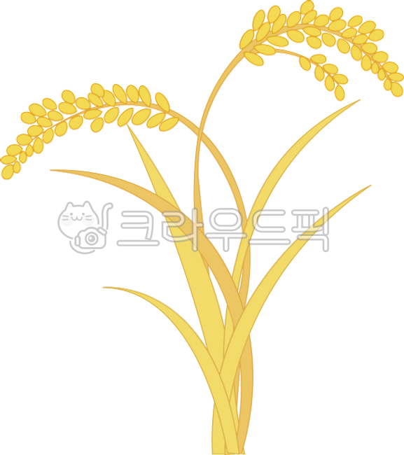 벼,쌀,이삭,벼일러스트,쌀일러스트,벼이삭,추수,가을,쌀알,가을추수,수확,벼수확,쌀수확,가을철,가을농사