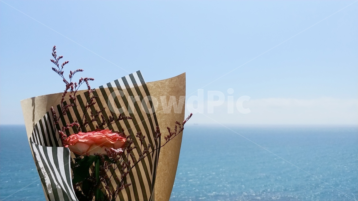바다,꽃,하늘,수평선,꽃다발,선물,sea,ocean,flower,sky,꽃,flower,기념일,축하,anniversary,congratulation,celebrate,celebration