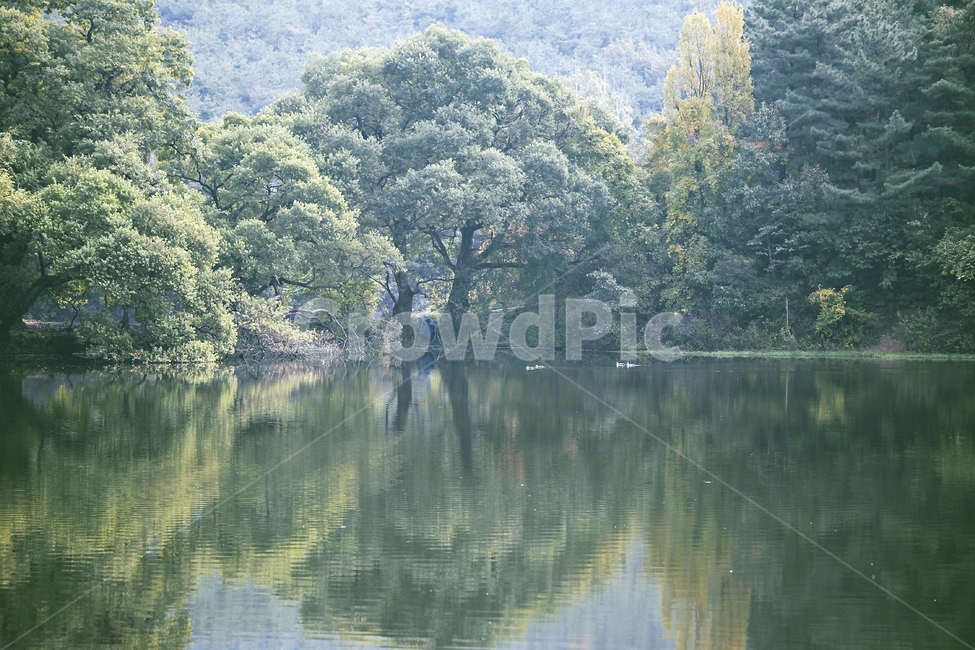 lake,reflection,풍경사진,호수,반영사진,자연,풍경,nature,landscape,한국자연풍경,한국자연경관,korea nature landscape,휴식,힐링,rest,relaxation,healing,water,물,land,땅,outdoors,옥외