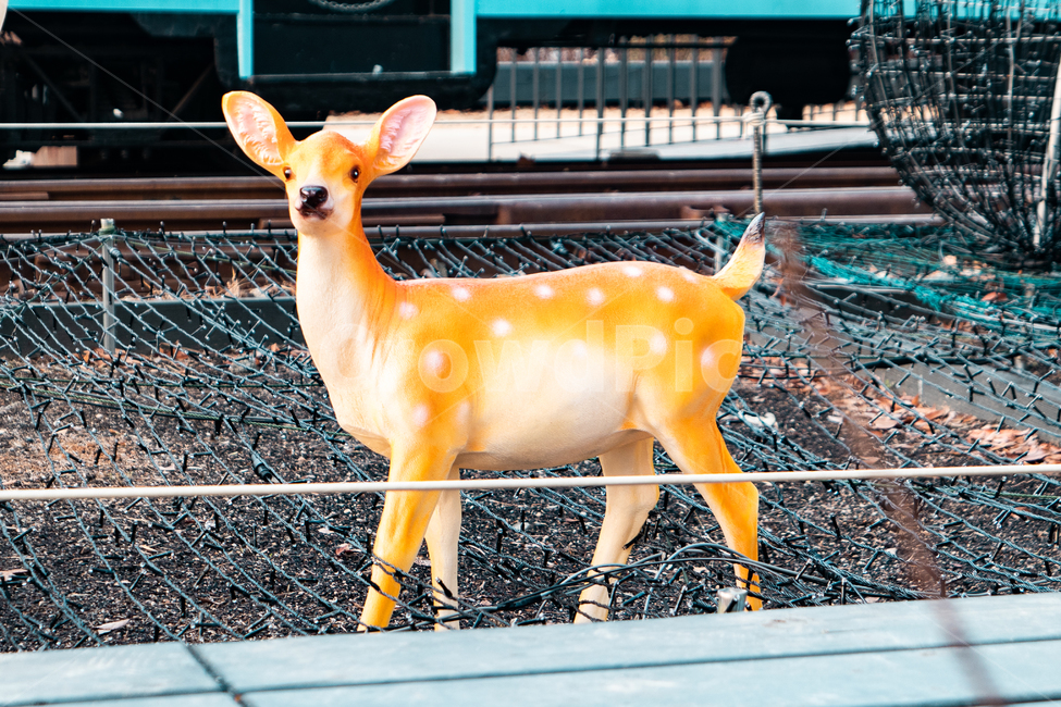 화랑대역,공원,사슴,꽃사슴,동상,인형,모형,deer,animal,동물,mammal,포유류