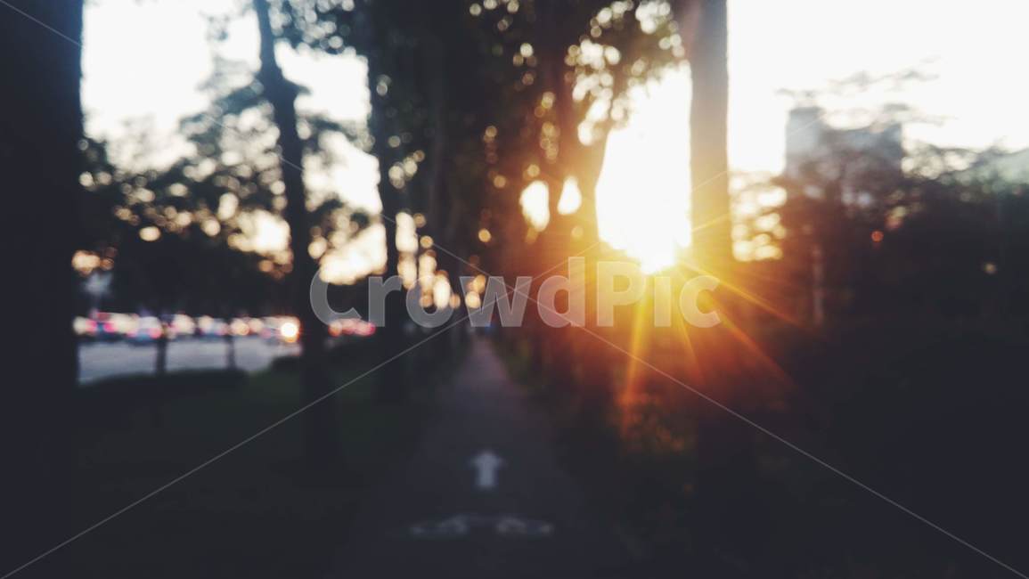 인도,자전거도로,햇빛,노을,오후,직진,감성,sensible,feeling