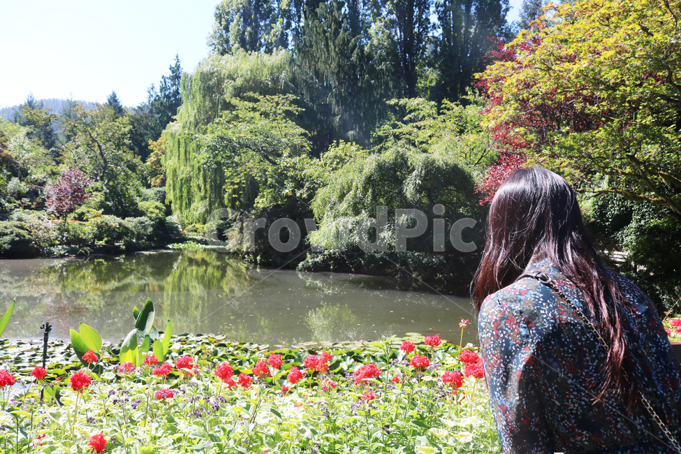 꽃밭,여자,뒷모습,awoman,agirl,backside,backview,garden,정원,summer,여름,shine,화창한,아름다운,공원,park,사람,인물,인간,human,person,여성,여자,woman,female,lady