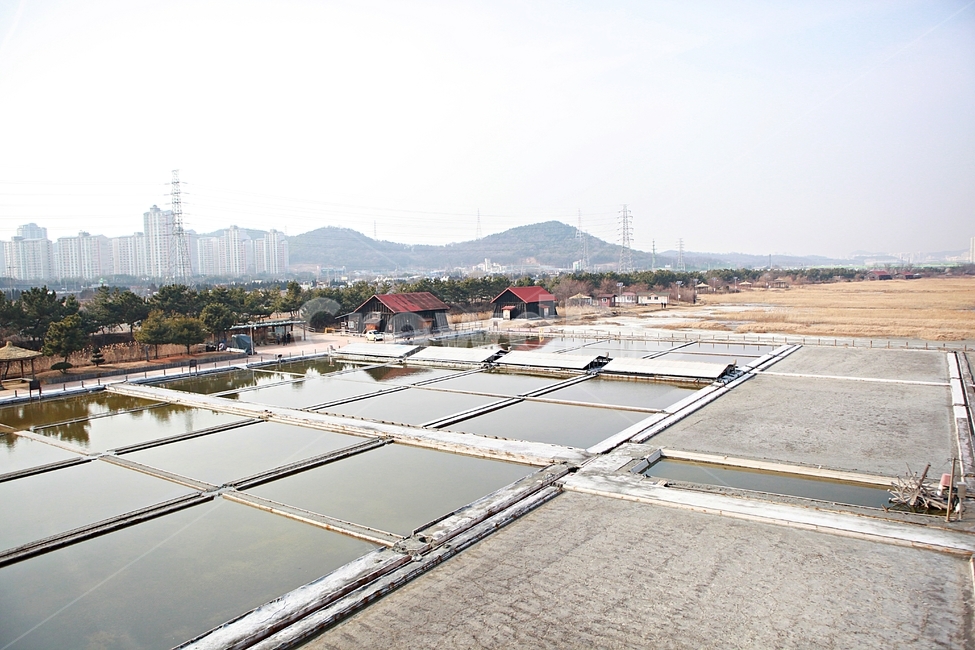 염전,소금창고,풍경,풍광,배경,소금,산업,industry,industrial