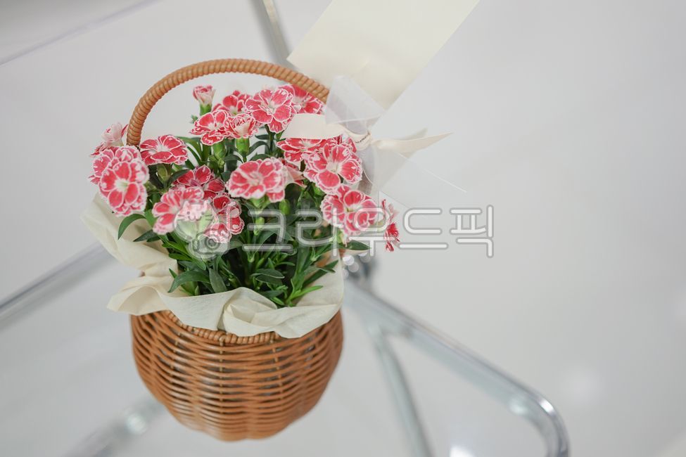 카네이션,꽃바구니,기념일,어버이날,꽃,플라워