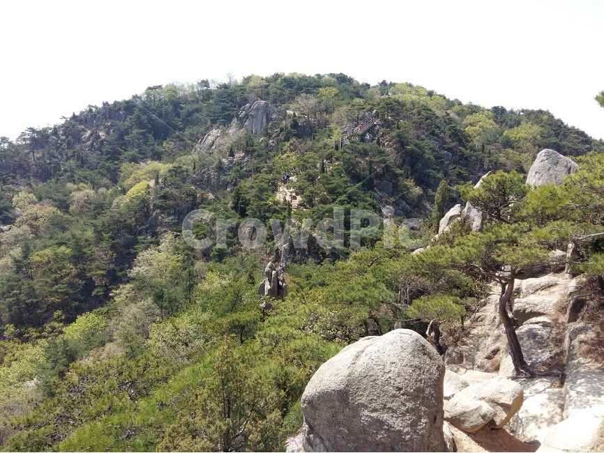 용봉산,충남,봄,바위,햇살,초록,하늘,자연,풍경,nature,landscape,한국자연풍경,한국자연경관,korea nature landscape,outdoors,옥외