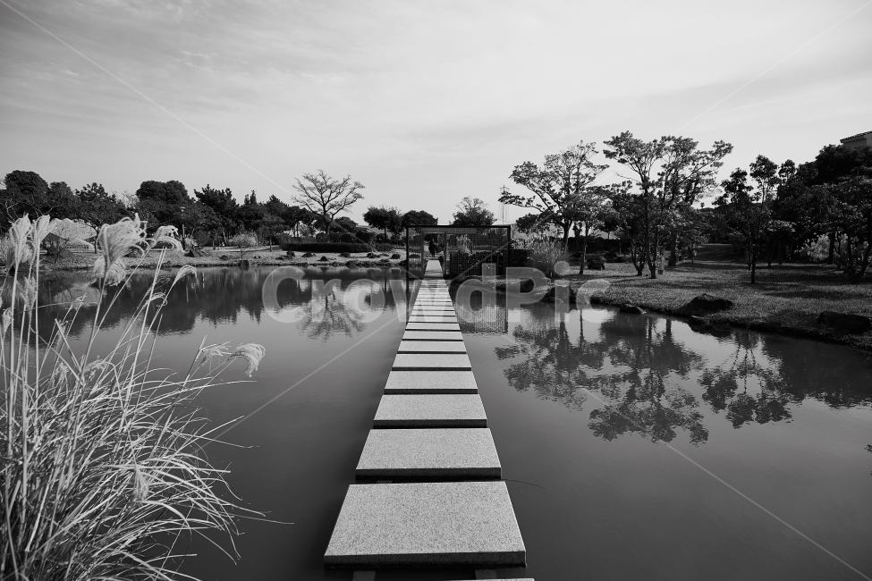 제주도,길,길거리,흑백사진,반영,자연,풍경,nature,landscape,흑백,모노톤,monochrome,black and white,water,물,waterfront,워터 프론트,building,건물