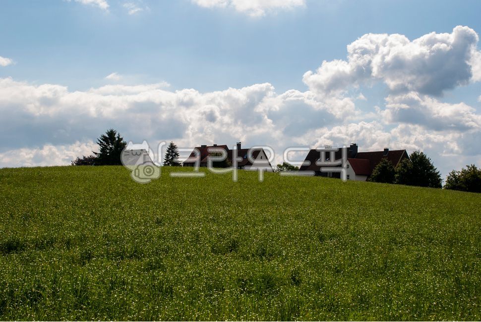 blue sky,small village,bluesky,cloud,Field,white,Town,smalltown,village,sky,greenfield,green,nature,white clouds,grassland,whitecloud,White,blue,outdoors,field,plant,green field
