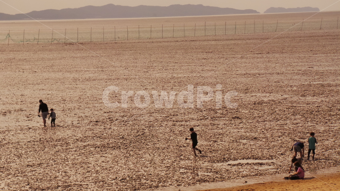 갯벌,바다,강화도,사람들,사람,뻘,자연,풍경,nature,landscape,ground,바닥