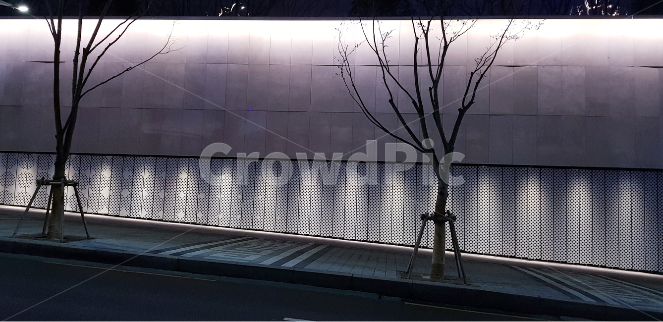 도시,거리,쓸쓸,우울,세련,가로수,야외,겨울,계절,winter,season,야경,밤,풍경,nightscape,night,landscape,handrail,난간,banister