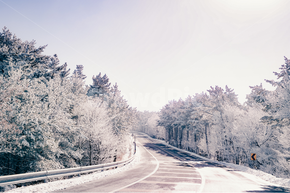 nature,자연,outdoors,옥외,ice,빙,snow,눈,겨울,계절,winter,season