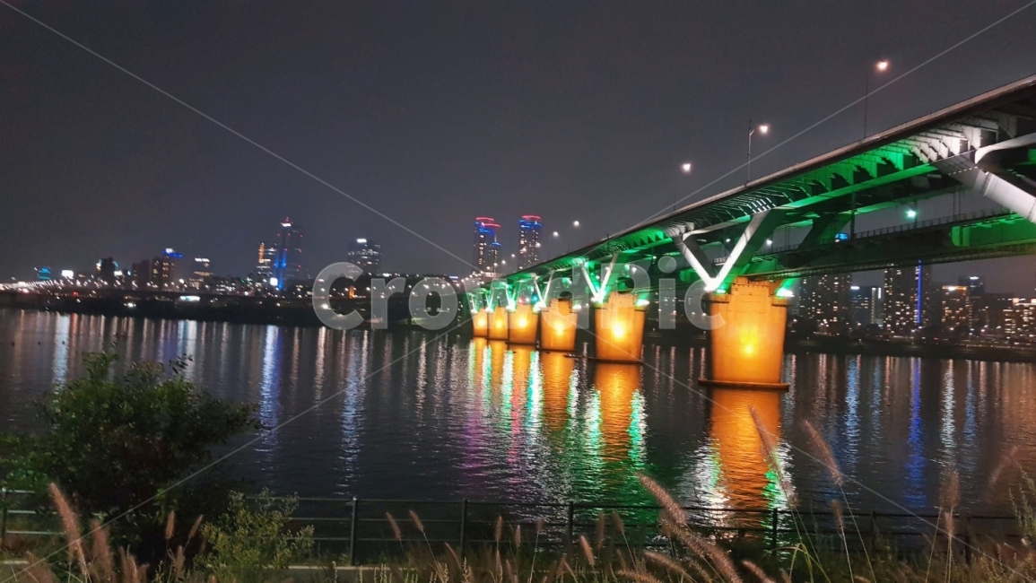 뚝섬,갈대,야경,한강,풍경,야경,밤,풍경,nightscape,night,landscape,도시,city,한국도시풍경,한국도시경관,korea cityscape,water,물