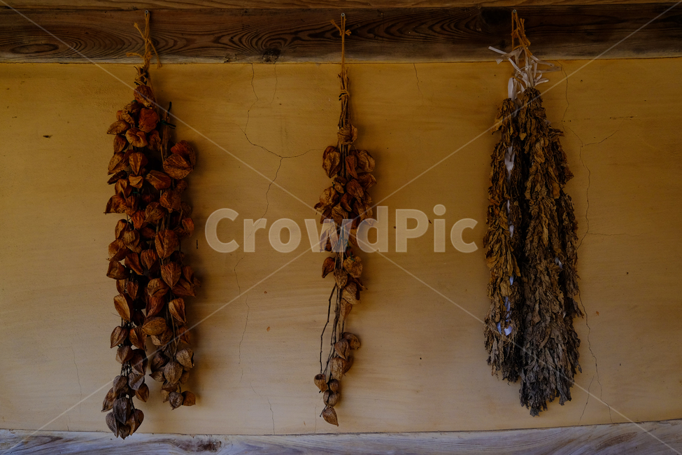 시골,농촌,한국,시레기,전통,한국전통,한국문화,korean traditional,korean culture,음식,식재료,요리,food,cook,meal,dishes,food reserves