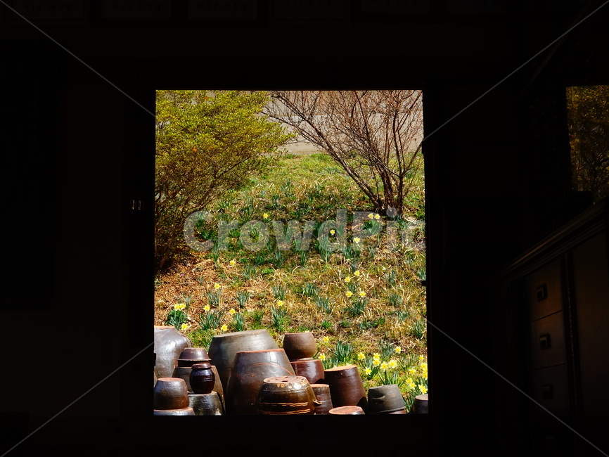 수선화,고택,봄,장독대,문,한국전통,한국문화,korean traditional,korean culture
