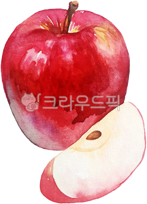 fruit,fruit,watercolor,fruitwatercolorpainting,red fruit,red fruit,redfruit,apple,applepainting,applewatercolorpainting