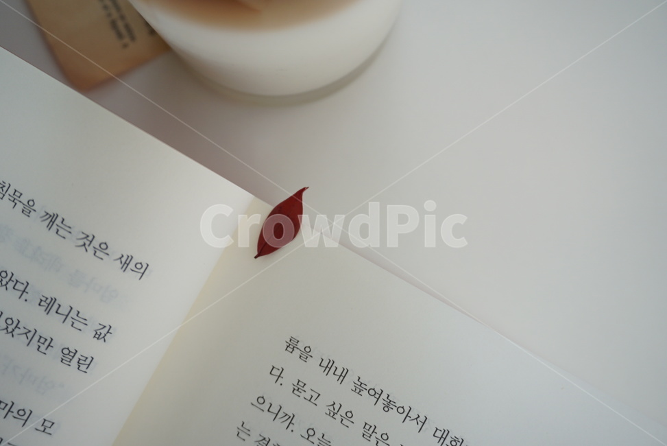 책,책갈피,잎,가을,book,bookmark,leaf,fall,text