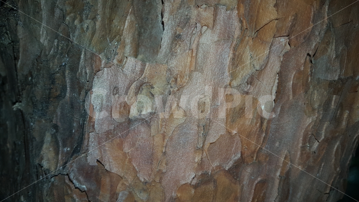 패턴,질감,나무,배경,어두움,텍스처,질감,패턴,texture,pattern