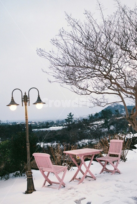 겨울제주,제주,제주도,눈오는제주,눈,함박눈,겨울,겨울풍경,furniture,가구,chair,의자,table,표,diningtable,식탁,겨울,계절,winter,season,자연,풍경,nature,landscape