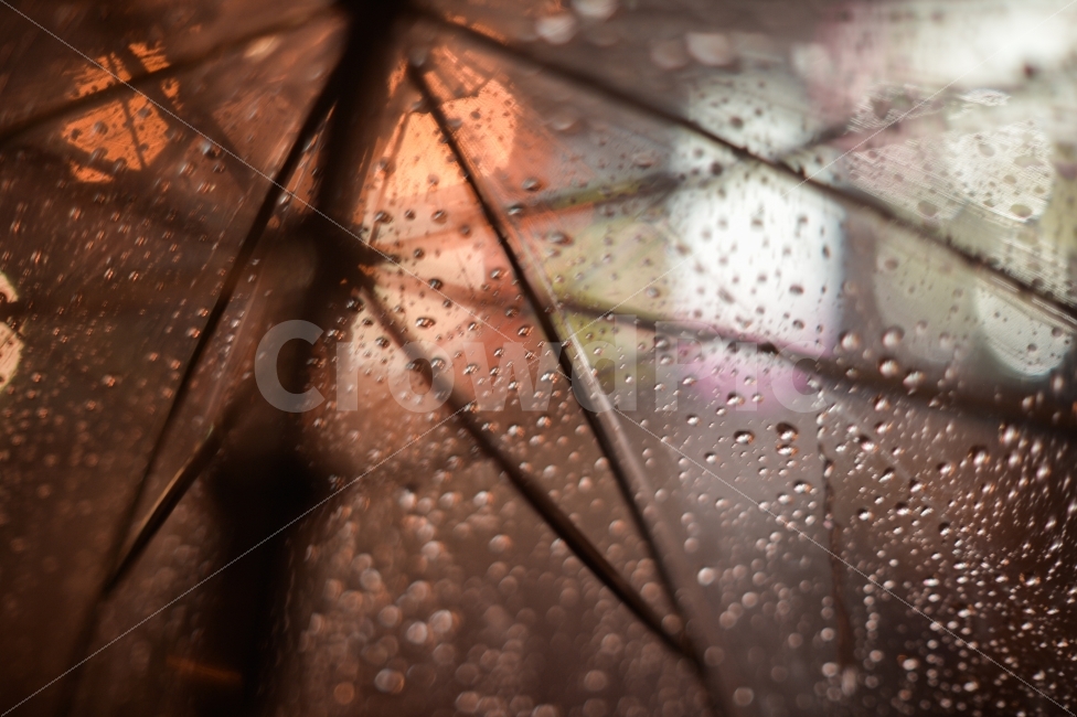 우산,비,보케,그리움,감성,빛방울,umbrella,rain,raindrops,bokeh,missing,sensibility,비,비오는날,rain,rainy,감성,sensible,feeling,색깔,색상,색채,색감,color sense,color sensitivity,feeling of color