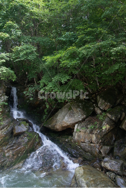 폭포,산,여름,계곡,계곡물,여름,계절,summer,season,자연,풍경,nature,landscape,water,물,outdoors,옥외