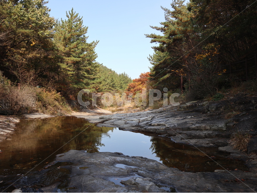 계곡,계룡산,국립공원,수통골,나무,자연,풍경,nature,landscape