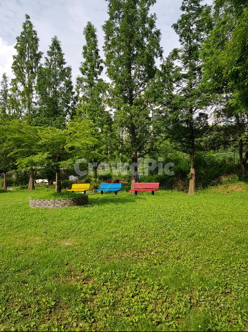 잔디,식물,plant,lawn,grass,식물,자연,plants,nature