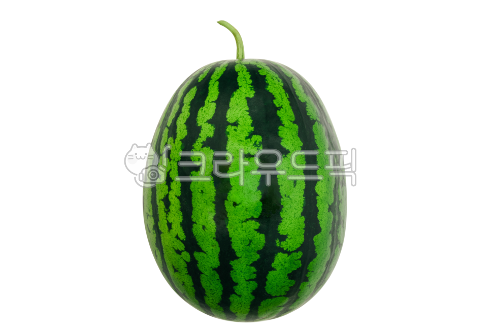 수박,여름수박,여름,열대과일,탑뷰,항공샷,수박누끼,달콤한,간식,신선한,맛있는,유기농,유기농과일,빨간,watermelon,watermelon,watermelonslice,clippingpathincluded,watermelonisolated,summer,tropical,fruit,tropical fruit,cutout,topview,sweet,healthy,delicious,dessert,deliciousfruit,vivid,refreshment,natural,healthyfood,과일,음식,후식