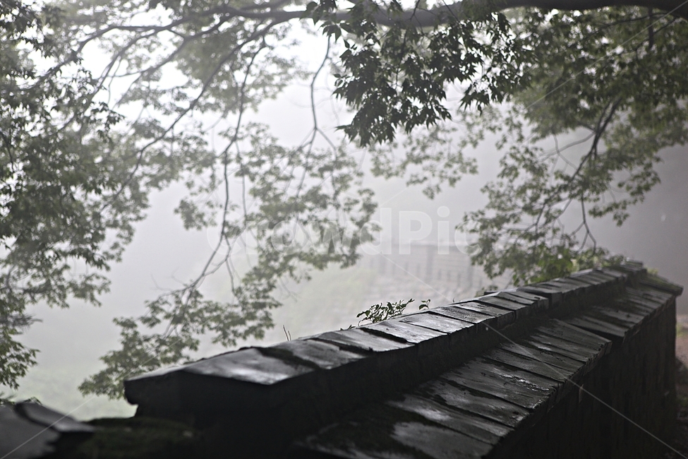 trail,stone wall,forest,castle,road,Namhansanseong Fortress,wall,forest road,fog