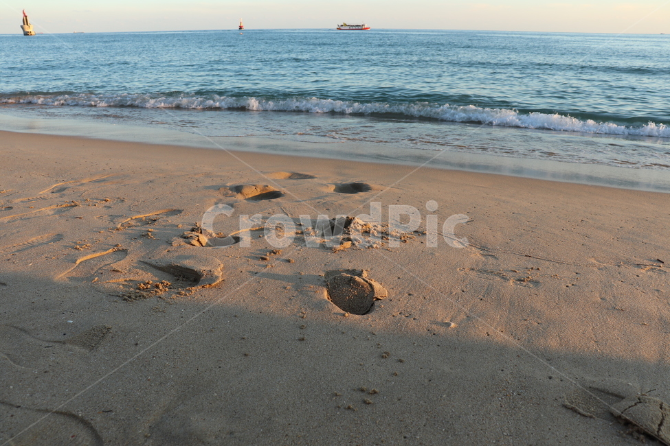 해안가,바닷가,파도,모래사장,산책,자연,풍경,nature,landscape,해변,바다,beach,sea,shoreline,해안선,water,물,outdoors,옥외,sand,모래,ocean,대양