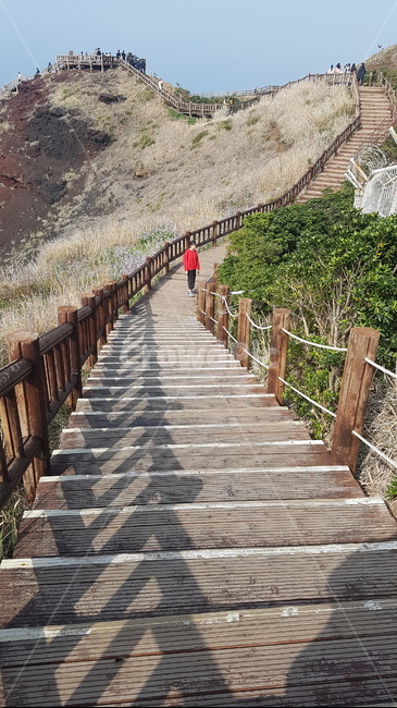 등산로,오솔길,boardwalk,building,계단,staircase