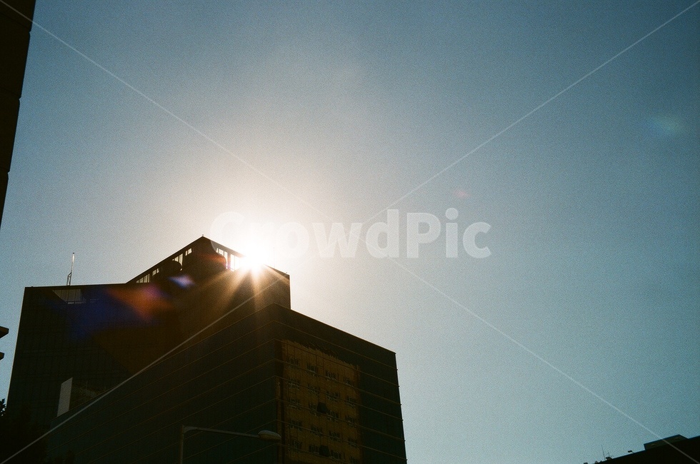 플레어,flare,light,빛,건물,building,blue,sky,파란하늘,햇빛,sunshine,높은건물,건축물,건물외관,exterior,building,structure,architecture,construction