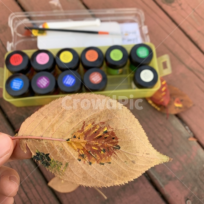 leaf,drawing,fall,autumn,단풍,낙엽,그림,가을,가을,계절,fall,autumn,season,식물,자연,plants,nature