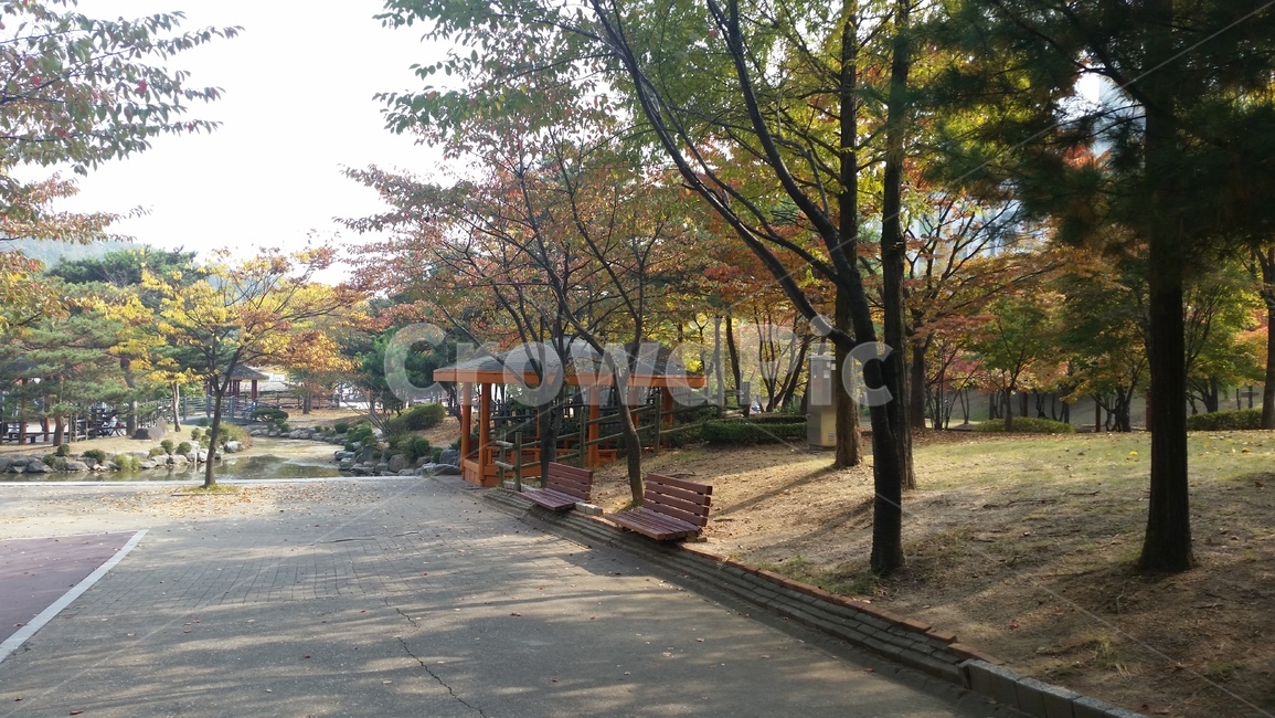 가을,공원,나무,벤치,정자,단풍,낙엽,한적한