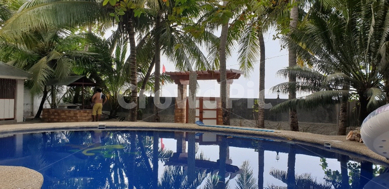 호텔,빌라,resort,휴양지,수영장