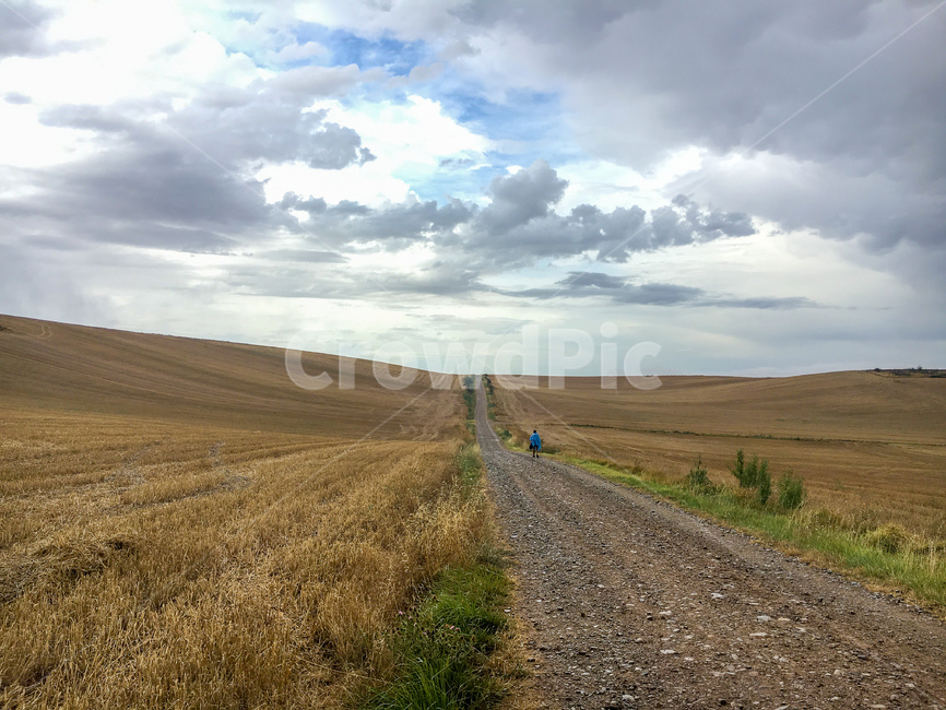spain,camino,caminodesantiago,Santiago pilgrimage route,pilgrimage,Pebble,road,sight,human,dirt road,dirtroad,nature,espaa,pilgrim,way,Spain,peregrino,gravel,person,santiago,road name,pilgrimage route,landscape,walk