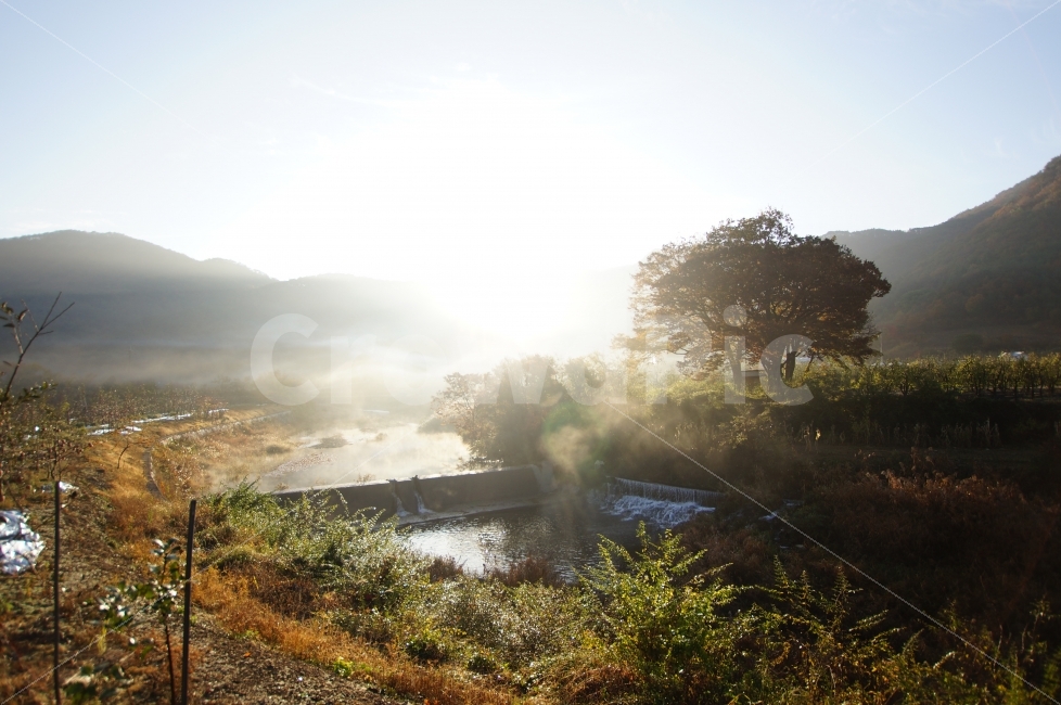 청송,아지랭이,아침풍경,물안개,주왕산가는길,자연,풍경,nature,landscape,휴식,힐링,rest,relaxation,healing,시골,마을,country,rural,town,flare,플레어,light,빛,weather,날씨,outdoors,옥외