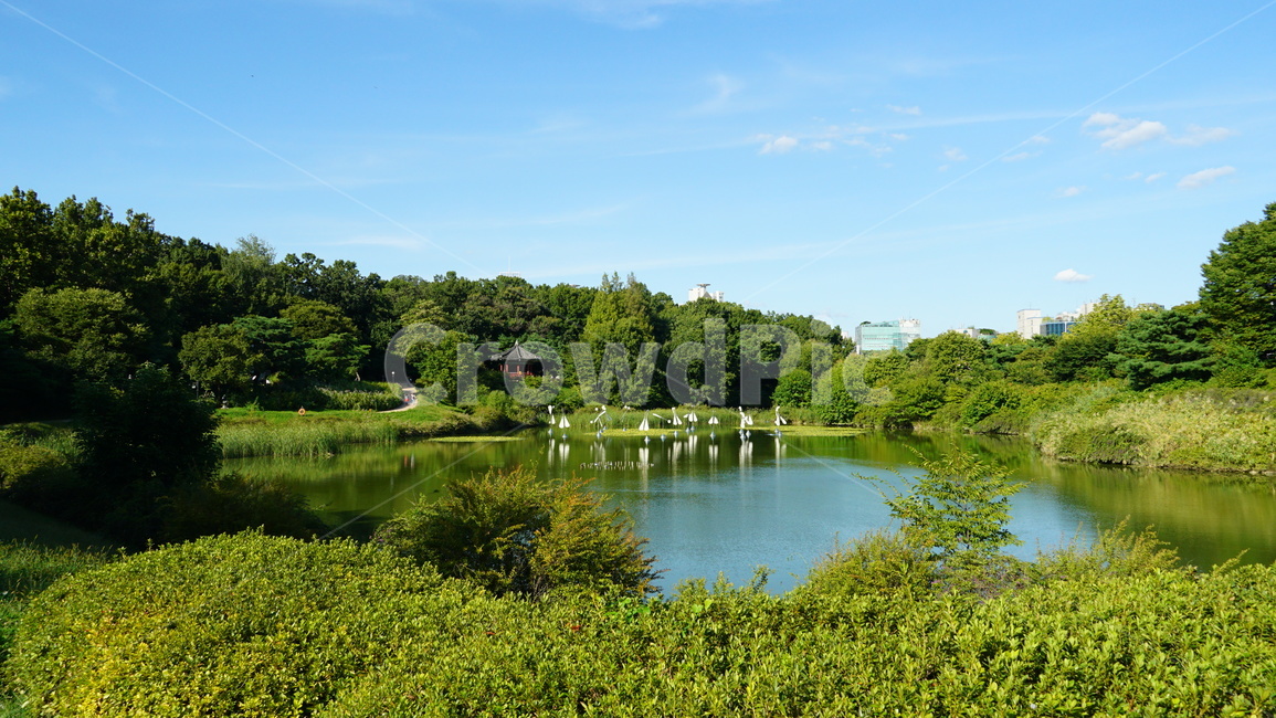 공원,나무,하늘,구름,풍경,자연,풍경,nature,landscape,water,물,outdoors,옥외