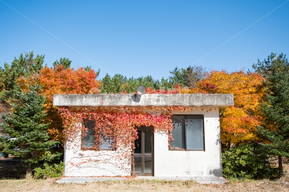 자연,풍경,가을,단풍,제주도,가을풍경,가을,계절,fall,autumn,season,건축물,건물외관,exterior,building,structure,architecture,construction,nature,outdoors,옥외,rural,농촌,건물