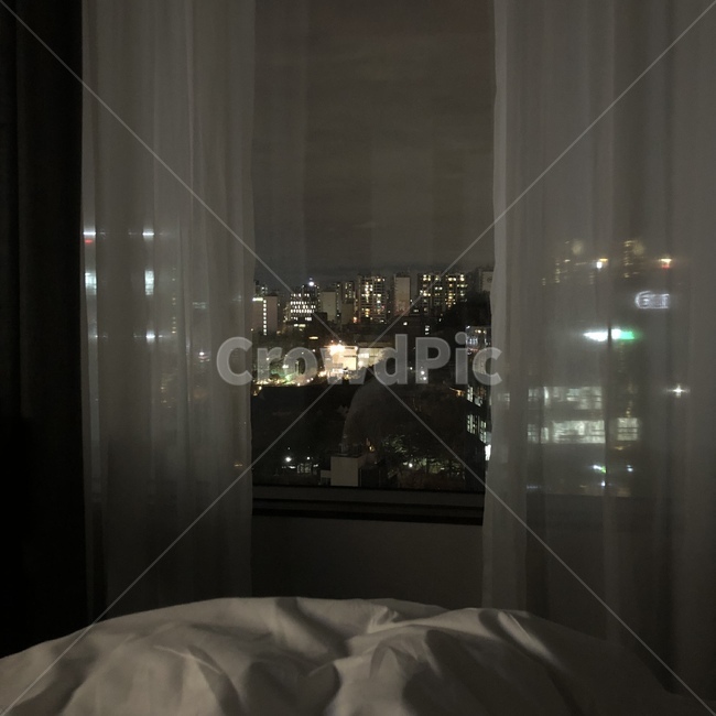 야경,밤하늘,불빛,밤,도시