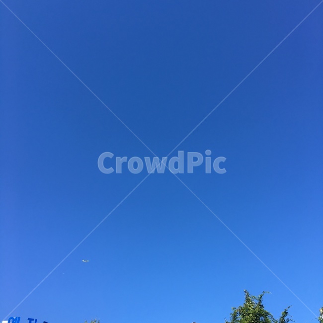 하늘,blue,나무,tree,비행기,airplane,상쾌,가을