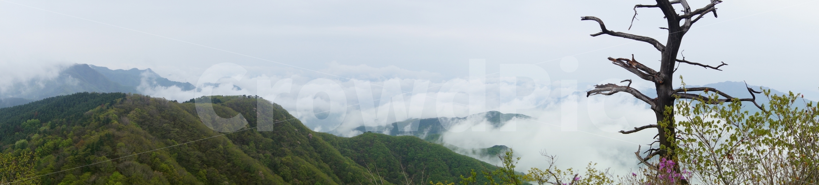 연인산,구름,풍경,자연,봄,자연,풍경,nature,landscape,mountain range,산맥,mountain,산,outdoors,옥외
