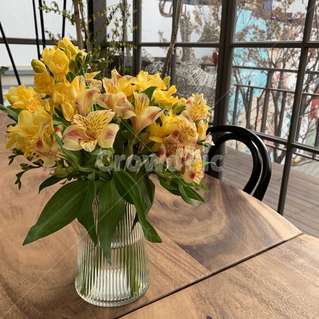 식물,plant,flower,꽃,blossom,꽃꽂이,화병,화분,실내용화초,화분,화초,house plant