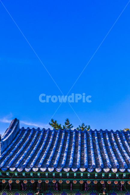 고궁,선,단청,창덕궁,기와,지붕,하늘,문화유산,문화재,채색,전통기와,전통가옥,문화예술,한국의미,한국전통,한국문화,korean traditional,korean culture,건축물,건물외관,exterior,building,structure,architecture,construction