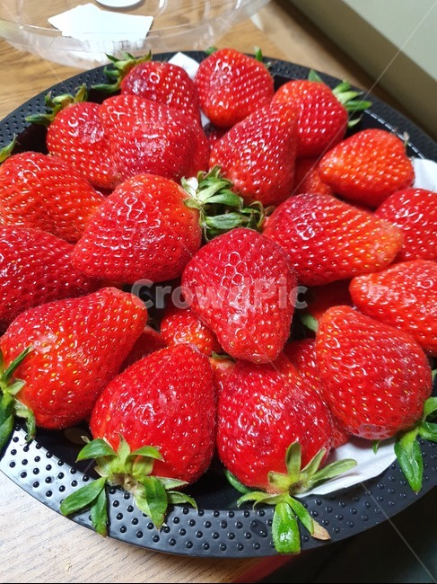 딸기,과일,fruit,strawberry,겨울딸기,후식,디저트