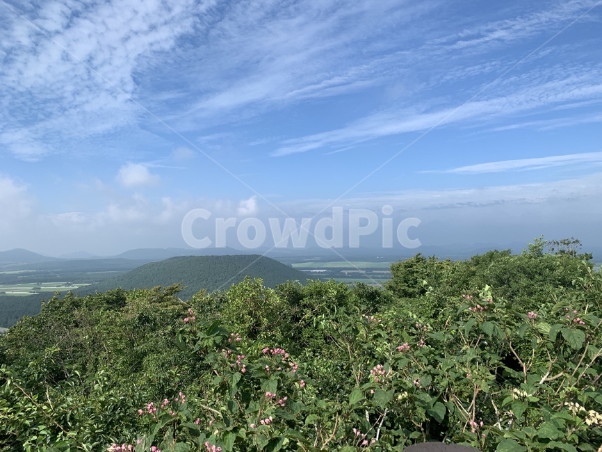 산,하늘,자연,제주,사려니숲길,날씨