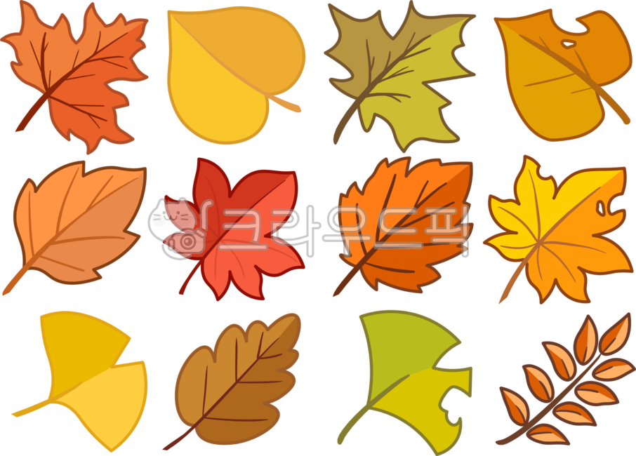 Autumn,autumn leaves,autumn image,fallen leaves,autumn leaves,maple,leaves,leaf,plant,fallen leaves illustration,season,icon,maple leaf illustration,autumn illustration,maple leaf,maple leaf png,autumn illustration png,maple png,leaf,plant,removebackgroun